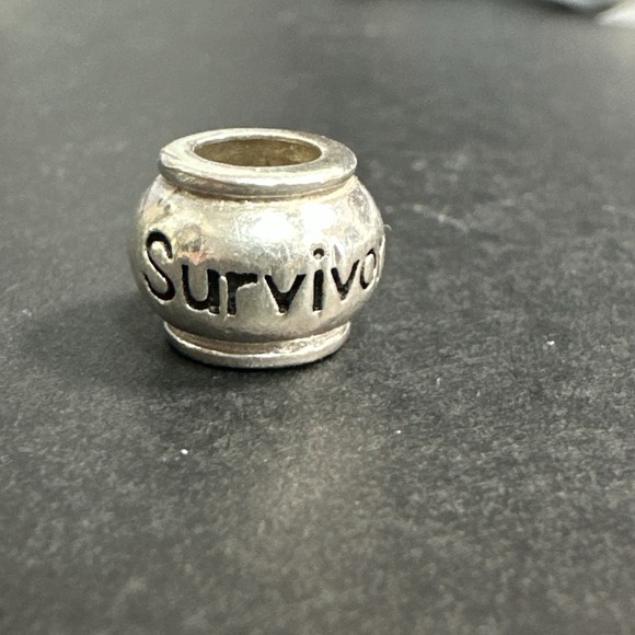 The Unbranded Brand Jewelry - SURVIVOR Sterling Silver Charm Spacer for Necklace or Bracelet #19